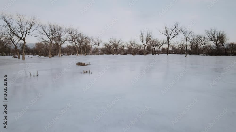 Winter Snow ice lake forest cloudy sky. Smooth aerial panorama of flight from above of drone in orbit 4k footage Winter Snow ice lake forest cloudy sky. Smooth aerial panorama of flight from above of drone in orbit 4k footage