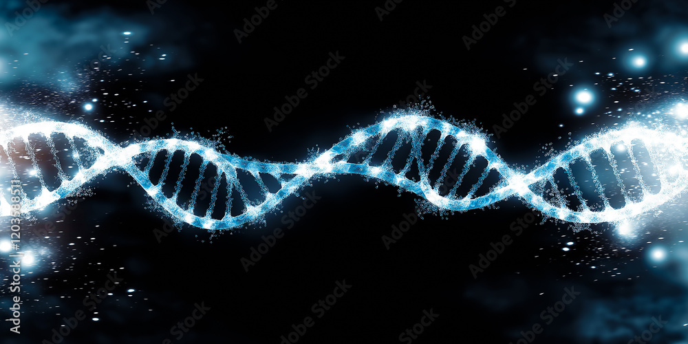 DNA Double Helix Structure DNA Double Helix Structure