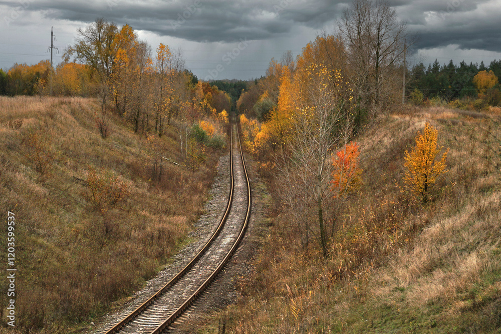 the railway rails harmoniously cut the autumn forest-steppe landscape in half the railway rails harmoniously cut the autumn forest-steppe landscape in half