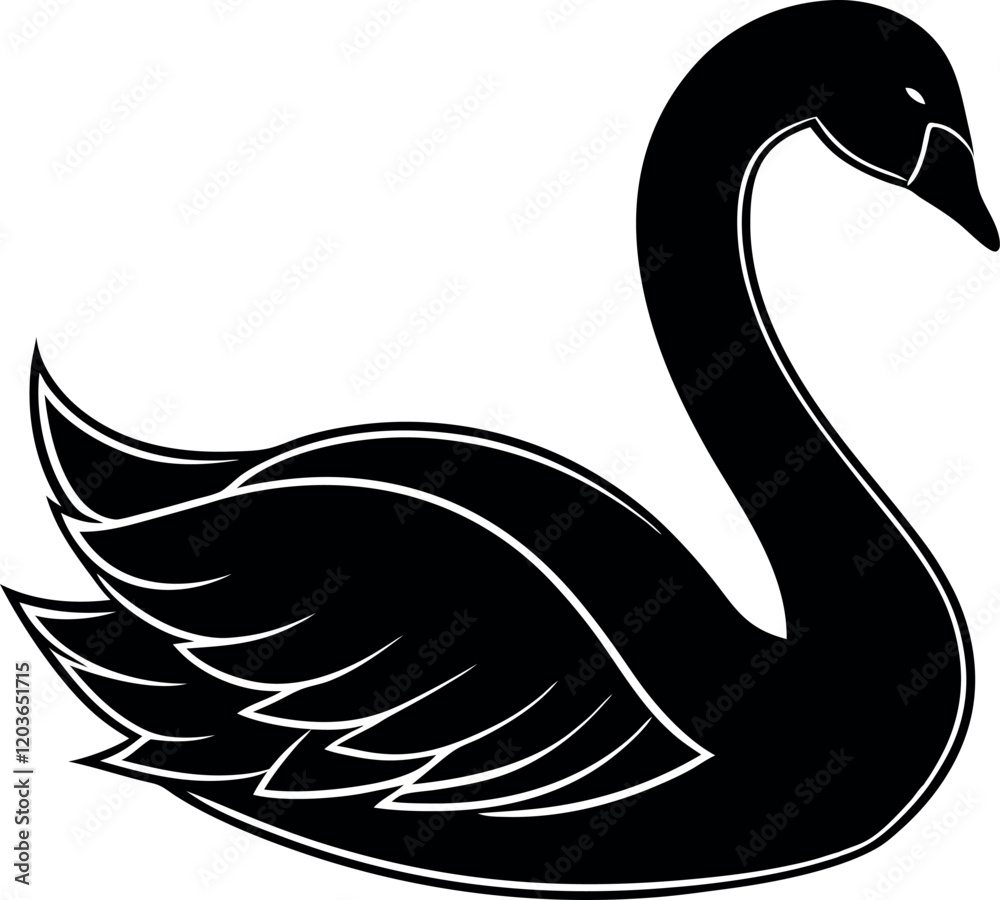 Obraz premium black swan