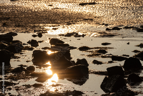 Early morning sunlight reflected on sand at low tide on Dee estuary photo