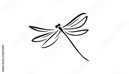 black and white dragonfly 
