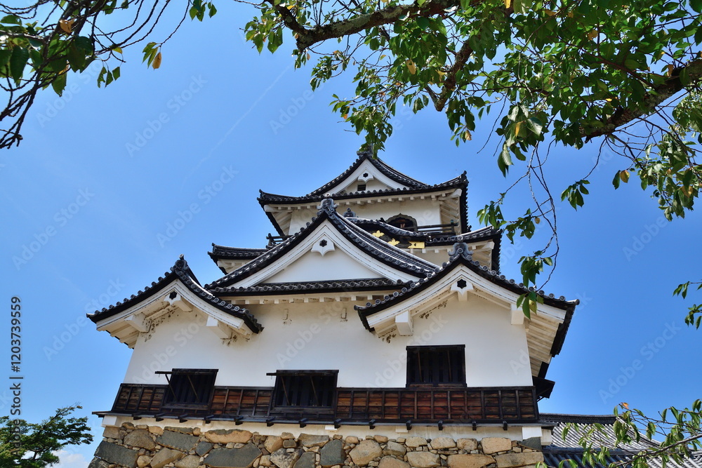 彦根城(滋賀県) 彦根城(滋賀県)