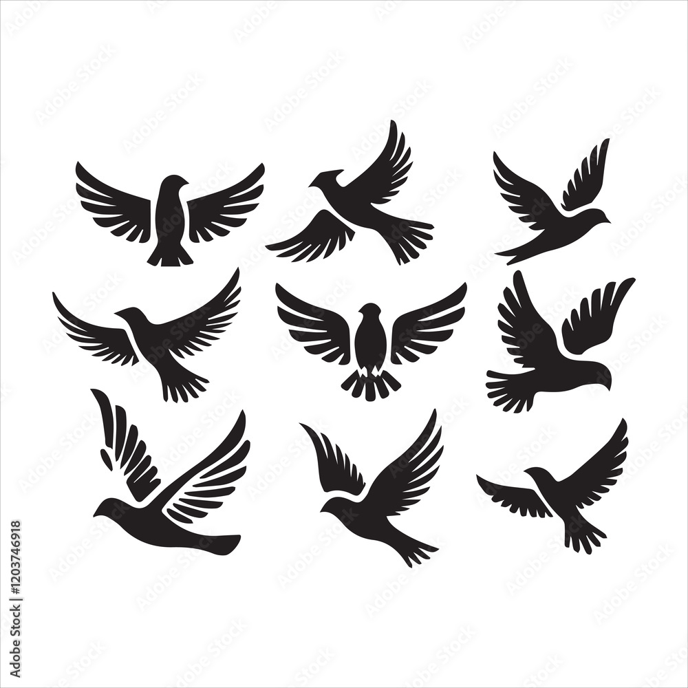 vector illustration of a set vector illustration of a set