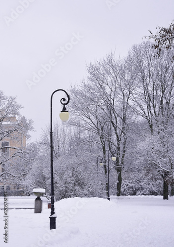 winter in the park