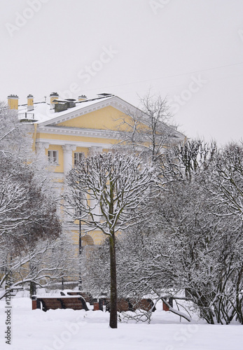 winter in the city