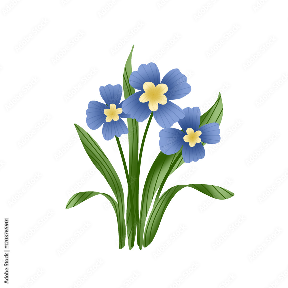 Naklejka premium blue iris flowers