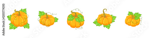 Decorative orange pumpkins and green leaves with glitter texture, isolated on a white background. Vector set of autumn seasonal vegetable for country fair, farm market, food store, shop and packaging photo