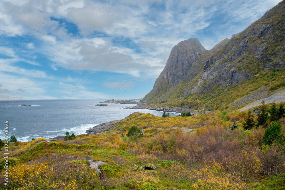 Colorful fall hilly heathland on large rocks with wildflowers and mosses in Artwork Nordland (Skulpturlandskap) in Lofoten island chain archipelago in Norway with background of sea and mountains Colorful fall hilly heathland on large rocks with wildflowers and mosses in Artwork Nordland (Skulpturlandskap) in Lofoten island chain archipelago in Norway with background of sea and mountains
