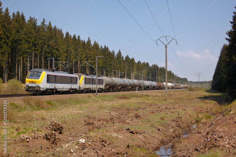Naklejka premium Kettle wagon train in a forest