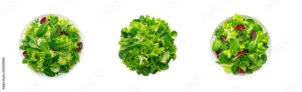 Salad from Green Leaves Mix, Fresh, Healthy and Nutrient Rich Salad from Green Leaves Mix, Fresh, Healthy and Nutrient Rich