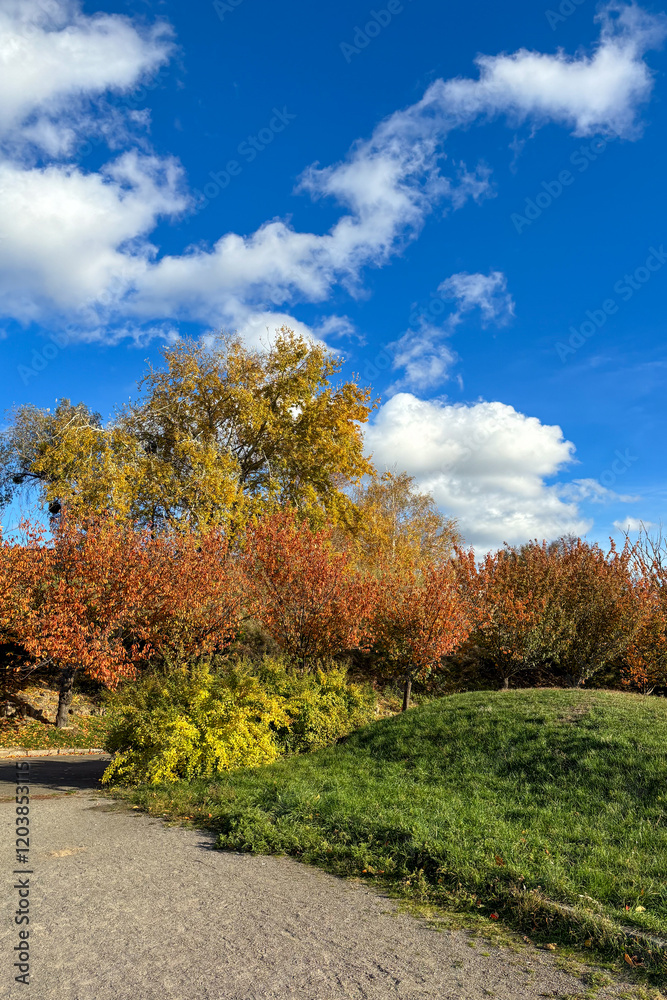 Fototapeta premium The golden autumn leaves shimmer in the soft sunlight, covering the ground in a warm, colorful carpet as they gently rustle in the crisp breeze, creating a picturesque scene of seasonal beauty 
