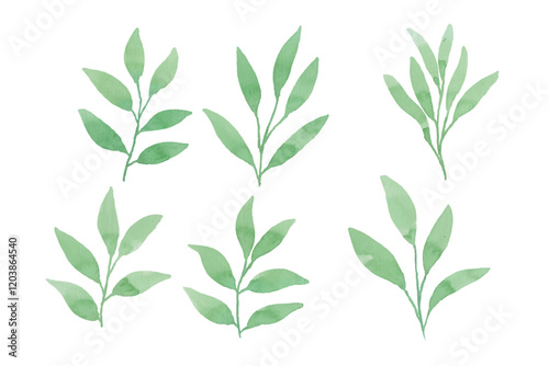 Assortment of watercolor leaves illustration set - green leaf branches collection for wedding, greetings, stationary, wallpapers, fashion, background. olive, green leaves, Eucalyptus etc