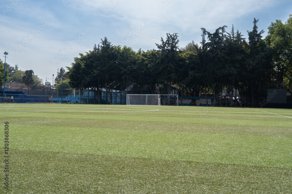 Fototapeta premium Campo de futbol soccer con suave pasto verde