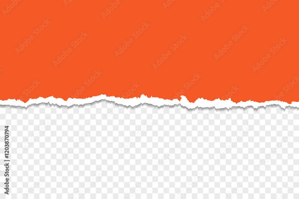Realistic torn paper edges on a transparent background for design overlays Realistic torn paper edges on a transparent background for design overlays