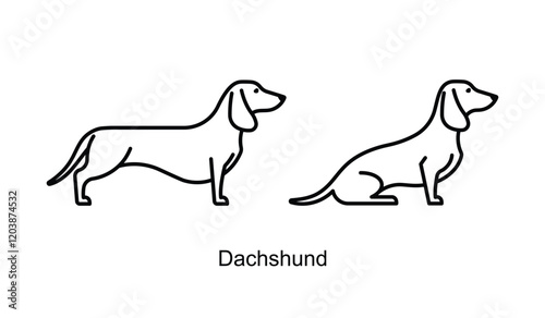 Dachshund, icon set. Dog different poses - standing and sitting. Linear illustration, editable strokes