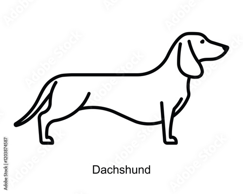 Dachshund, line icon. Small dog is standing. Linear illustration, editable strokes