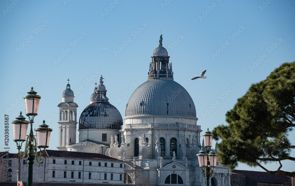 The most unique city on Earth, Venice, Italy The most unique city on Earth, Venice, Italy