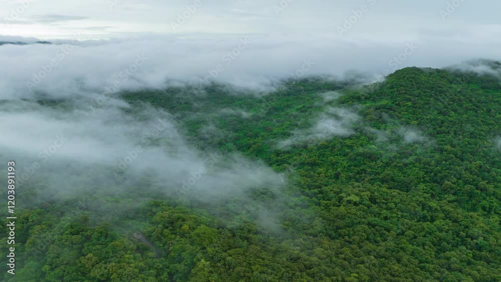 Aerial view of a beautiful landscape in northern Thailand, captured in a 4K hyperlapse video featuring white fog or clouds moving over the green forest below.
Aerial view of a beautiful landscape in northern Thailand, captured in a 4K hyperlapse video featuring white fog or clouds moving over the green forest below.