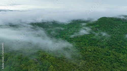 Wallpaper Mural Aerial view of a beautiful landscape in northern Thailand, captured in a 4K hyperlapse video featuring white fog or clouds moving over the green forest below.
 Torontodigital.ca