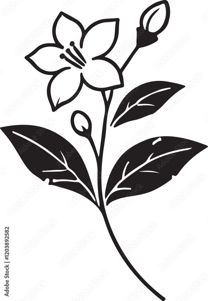 Isolated black flower icon Vector, black flower Silhouette,black flower icon set, black flower for logo,color black flower Vector illustration, Vector Graphic, EPS 10 , clip art work Isolated black flower icon Vector, black flower Silhouette,black flower icon set, black flower for logo,color black flower Vector illustration, Vector Graphic, EPS 10 , clip art work