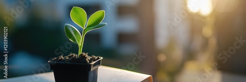 A young plant in a small pot illuminated by warm light, symbolizing growth and new beginnings in life’s journey.