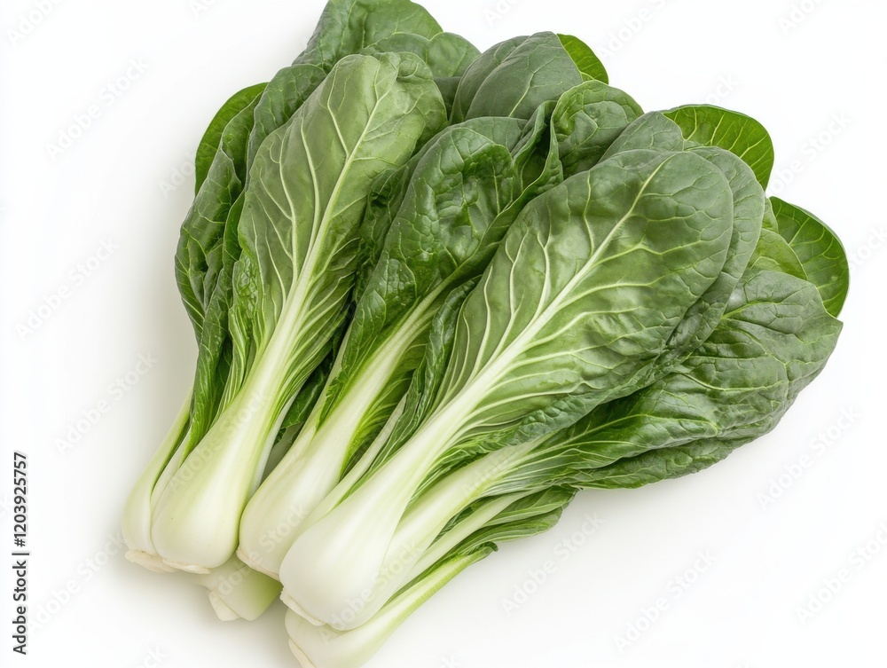 Fresh green bok choy arranged neatly on a white background showcasing its vibrant leaves and crisp stalks ideal for healthy dishes and salads Fresh green bok choy arranged neatly on a white background showcasing its vibrant leaves and crisp stalks ideal for healthy dishes and salads