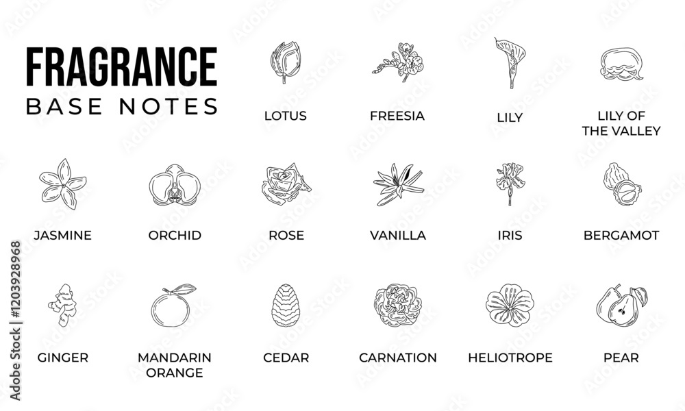 Vector set line icon aromatic notes perfume
