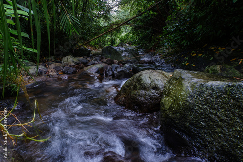 river flowing with clear water in the mountains.