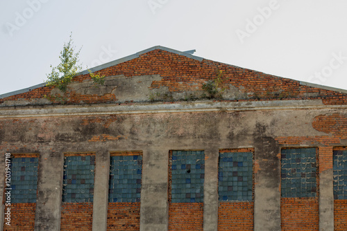 Old brick wall with blue windows and green plant in the foreground.