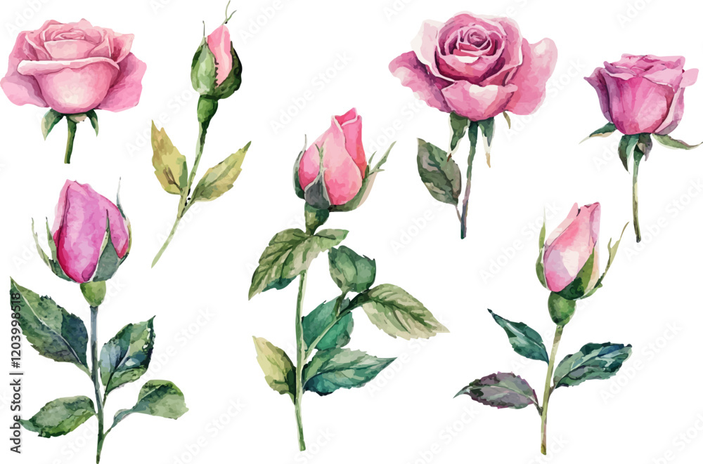 pattern with pink roses pattern with pink roses