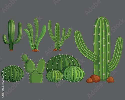 Different types of cactus vector illustration