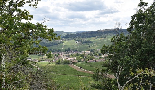 Paysage de village viticole bourguignon. Mercurey, Côte chalonnaise, France photo