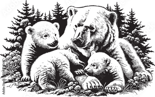  Polar Bear Family Illustration: Black and White Vector Outline Art