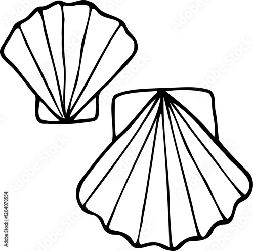 Hand drawn vector set scallops in line art style isolated on a white background.