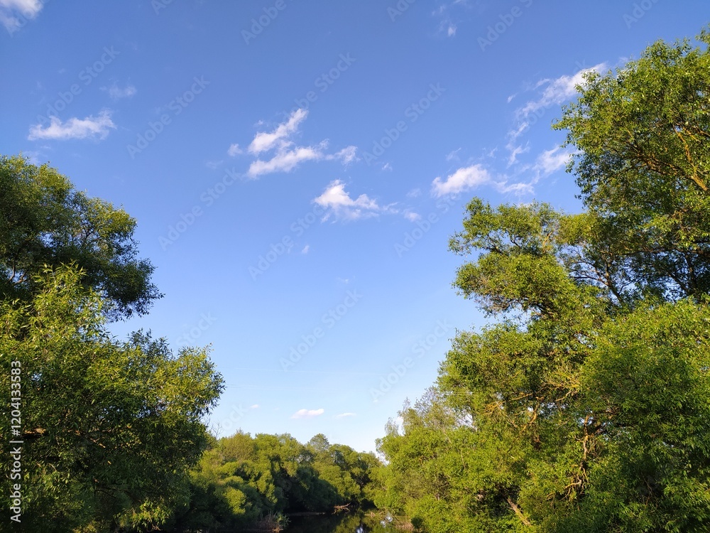 Summer landscape with trees and blue sky on sunny day. Summer landscape with trees and blue sky on sunny day.