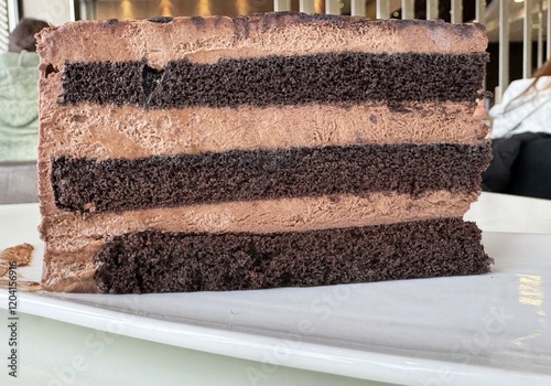 Decadent chocolate layer cake slice on white plate