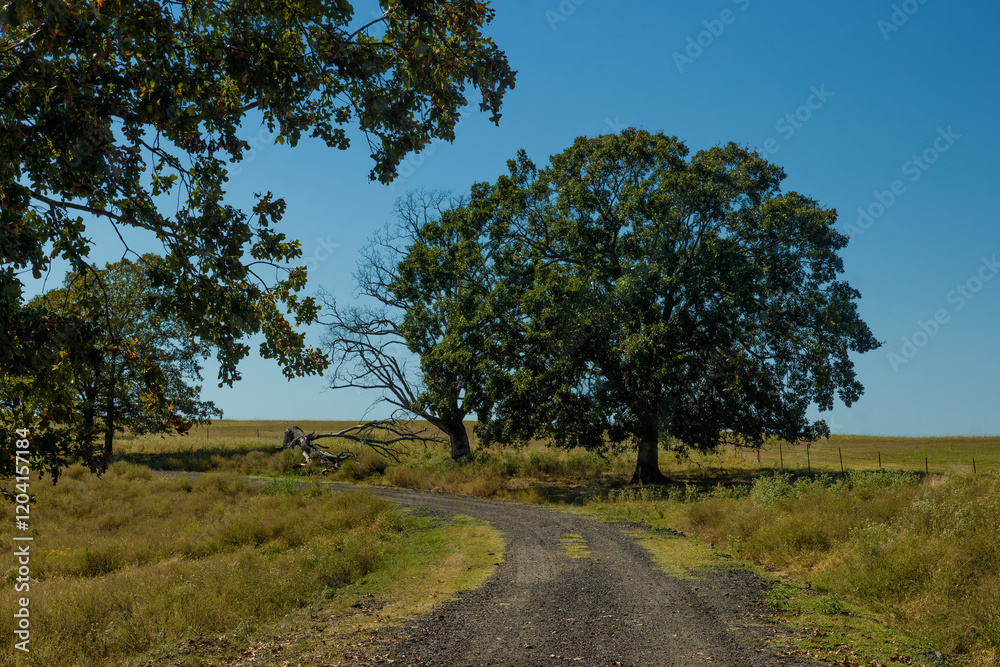 Dirt road leading to an old Cemetery in Sequoyah County, Oklahoma Dirt road leading to an old Cemetery in Sequoyah County, Oklahoma