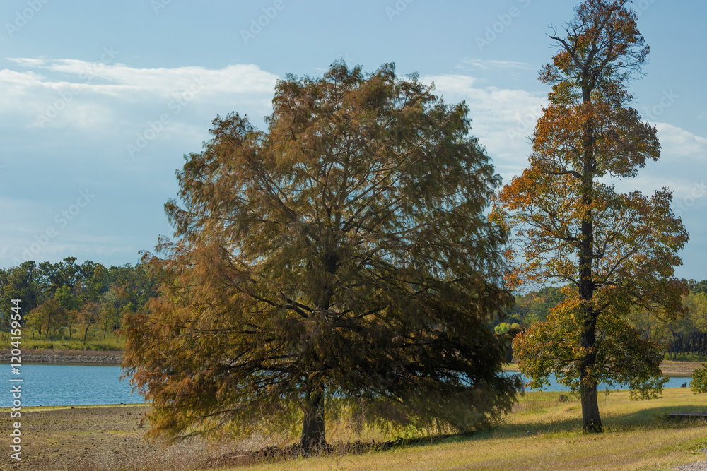 Sequoyah State Park in Hulbert, OK that sits along the shores of Fort Gibson Lake. Sequoyah State Park in Hulbert, OK that sits along the shores of Fort Gibson Lake.