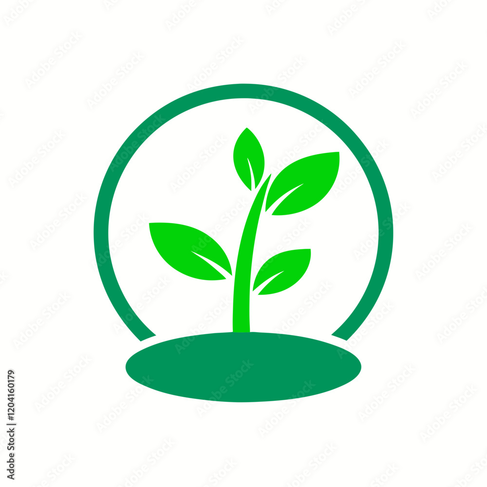 green plant in a pot