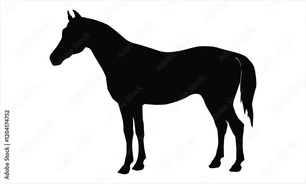 horse silhouette isolated on white horse silhouette isolated on white