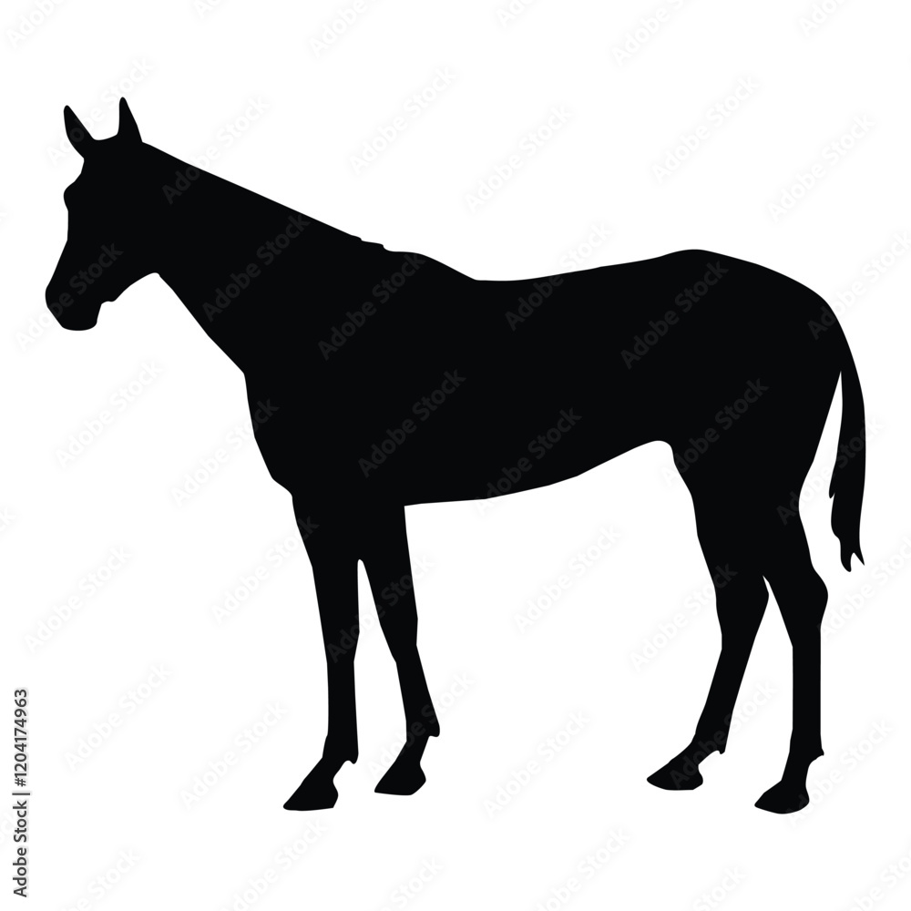 Obraz premium horse silhouette vector