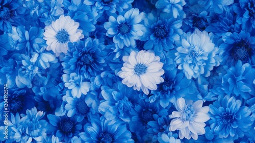 Wallpaper Mural Mini Blue Cornflowers Pattern, intricate design featuring evenly spaced blue cornflowers, ideal for textiles and decorative surfaces Torontodigital.ca