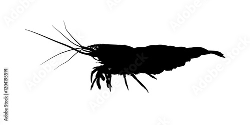 shrimp silhouette, side view - vector illustration