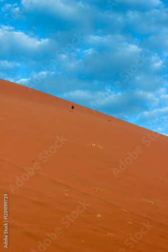 Man walking down Big Daddy sand dune in Sossusvlei in the Namib Desert, Namibia 