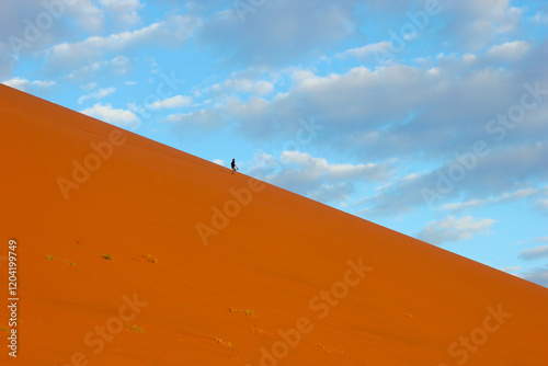 Man walking down Big Daddy sand dune in Sossusvlei in the Namib Desert, Namibia 