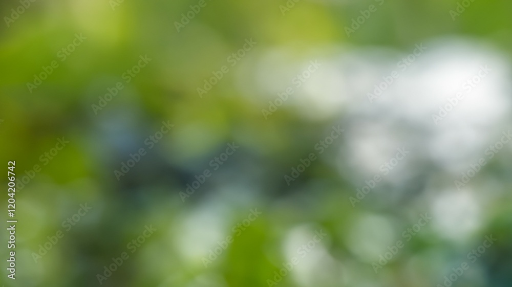 Green bokeh nature abstract blur. Blurred green leaf gradient nature background. Banner photo. Green bokeh nature abstract blur. Blurred green leaf gradient nature background. Banner photo.