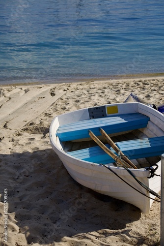 classic wood rowboat beached on the shore