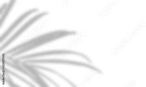 Realistic palm leaf shadow overlay effect isolated on white or transparent background. Tropical branch silhouette for summer design, mockup, and product presentation