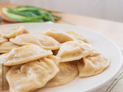 Vegetable dumplings gyoza served on white plate with green onions
